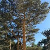 https://cdn-ostrovok-ru-ion.test.edgekey.net/t/100x100/hotel_review/ce/fe/cefe4112439bf651b6f492469cb2b3e30479d29a.JPEG