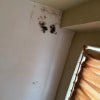 https://cdn-ostrovok-ru-ion.test.edgekey.net/t/100x100/hotel_review/cf/09/cf09325c7ae8d892496cc6c8fbe869c9ccec0a7d.JPEG