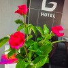 https://cdn-ostrovok-ru-ion.test.edgekey.net/t/100x100/hotel_review/cf/10/cf10a51b618d5c221826b0a6381133586d7bf337.JPEG