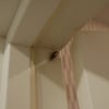 https://cdn-ostrovok-ru-ion.test.edgekey.net/t/100x100/hotel_review/cf/18/cf18bfd39b0a8ca3e8b46b07e232558d8d7024de.jpeg