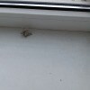 https://cdn-ostrovok-ru-ion.test.edgekey.net/t/100x100/hotel_review/cf/35/cf35ada52be4b13af2e257d338921ab9cf6d6ed3.JPEG