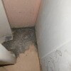 https://cdn-ostrovok-ru-ion.test.edgekey.net/t/100x100/hotel_review/cf/4d/cf4d43ef9036a3b01fa25ec7a4fc768393e5f5a9.JPEG