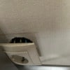 https://cdn-ostrovok-ru-ion.test.edgekey.net/t/100x100/hotel_review/cf/80/cf80f701b94ca4c00550409121523062555182cc.JPEG