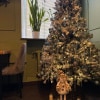 https://cdn-ostrovok-ru-ion.test.edgekey.net/t/100x100/hotel_review/cf/b4/cfb45cfdd7ee82b324921edcc22c015fea142859.JPEG