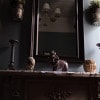 https://cdn-ostrovok-ru-ion.test.edgekey.net/t/100x100/hotel_review/cf/c0/cfc0b6a73676951d2a5a3d72146665b576383f79.jpeg