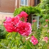 https://cdn-ostrovok-ru-ion.test.edgekey.net/t/100x100/hotel_review/cf/cb/cfcb6e8fa710dd9eb7e9894bee0741d3dc753ff9.JPEG
