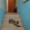 https://cdn-ostrovok-ru-ion.test.edgekey.net/t/100x100/hotel_review/cf/e4/cfe49addddb9abdf1be1d8d9fb903cc9af672f1c.JPEG