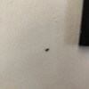 https://cdn-ostrovok-ru-ion.test.edgekey.net/t/100x100/hotel_review/d0/22/d0225beffbf29d594b8303582b179e554362dc3a.jpeg