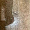 https://cdn-ostrovok-ru-ion.test.edgekey.net/t/100x100/hotel_review/d0/2f/d02f6dab823da9d82e04854c084628ed1b54182a.JPEG