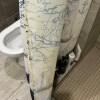 https://cdn-ostrovok-ru-ion.test.edgekey.net/t/100x100/hotel_review/d0/5a/d05a1fcb9031e18d50a9d1c31934a752e68a09c6.JPEG