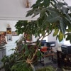 https://cdn-ostrovok-ru-ion.test.edgekey.net/t/100x100/hotel_review/d0/80/d080f1d329e423f13be0214105febda00d611994.JPEG