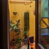 https://cdn-ostrovok-ru-ion.test.edgekey.net/t/100x100/hotel_review/d0/c7/d0c700e8618d4ea583eb1969b48f77e74f428c61.JPEG
