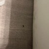 https://cdn-ostrovok-ru-ion.test.edgekey.net/t/100x100/hotel_review/d1/07/d1073d3c2bf941180c9daa614e13de132439f3c8.JPEG