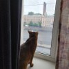 https://cdn-ostrovok-ru-ion.test.edgekey.net/t/100x100/hotel_review/d1/10/d1107fdeff254dcad1f9c01f7306fd9484cf422a.JPEG