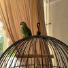 https://cdn-ostrovok-ru-ion.test.edgekey.net/t/100x100/hotel_review/d1/48/d1483b110e32dcdcd4e2b59b75f8a8379f7de6c9.JPEG