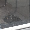 https://cdn-ostrovok-ru-ion.test.edgekey.net/t/100x100/hotel_review/d1/52/d152b5742ea967214d22eb84f1d433294c9ec8c7.JPEG