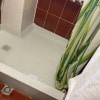 https://cdn-ostrovok-ru-ion.test.edgekey.net/t/100x100/hotel_review/d1/69/d169b6c2698dc0ac7abd7b920c6879c6053ef767.jpeg