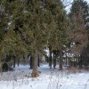 https://cdn-ostrovok-ru-ion.test.edgekey.net/t/100x100/hotel_review/d1/7c/d17c445d57d97b1de9bbe2043304932a6a095f1b.png