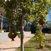 https://cdn-ostrovok-ru-ion.test.edgekey.net/t/100x100/hotel_review/d1/9a/d19a7316789d8a765d6164d458ef8747f66cfc48.JPEG