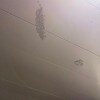 https://cdn-ostrovok-ru-ion.test.edgekey.net/t/100x100/hotel_review/d1/bf/d1bfe9d18bb17c0cd15b736323df041d6a93e6ab.JPEG