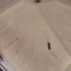 https://cdn-ostrovok-ru-ion.test.edgekey.net/t/100x100/hotel_review/d2/1d/d21df21dfaee0dc33ab5e71279c3390c25585d53.JPEG