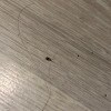 https://cdn-ostrovok-ru-ion.test.edgekey.net/t/100x100/hotel_review/d2/24/d224cbc44e2473a20ffa76e50108b719d9e528e3.JPEG