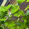 https://cdn-ostrovok-ru-ion.test.edgekey.net/t/100x100/hotel_review/d2/4d/d24d627c7657cc87ac935aa97f9a3009228b75d1.JPEG