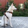 https://cdn-ostrovok-ru-ion.test.edgekey.net/t/100x100/hotel_review/d2/64/d264d6cbc749f086ffd593b4f8f4ec6bb913eaa9.jpeg