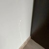https://cdn-ostrovok-ru-ion.test.edgekey.net/t/100x100/hotel_review/d2/99/d299eb0034692a10d8085f53ab8534799fd0e6ca.jpeg