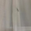https://cdn-ostrovok-ru-ion.test.edgekey.net/t/100x100/hotel_review/d2/b6/d2b6a57c46b1d98e6a56ec5c13702945b0424a64.JPEG