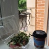 https://cdn-ostrovok-ru-ion.test.edgekey.net/t/100x100/hotel_review/d3/03/d303a61b4933bd0d617ff0cee32f5af7ed0b5b63.JPEG