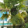 https://cdn-ostrovok-ru-ion.test.edgekey.net/t/100x100/hotel_review/d3/57/d3572db86288ae3069553e9d234921becfccce71.JPEG