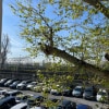 https://cdn-ostrovok-ru-ion.test.edgekey.net/t/100x100/hotel_review/d3/5e/d35e33bcb8d9605e7552f536302c8b9a94d6d921.JPEG