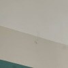 https://cdn-ostrovok-ru-ion.test.edgekey.net/t/100x100/hotel_review/d3/b0/d3b04453bdc1be08955be2ab12d2601c177e2102.JPEG