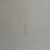 https://cdn-ostrovok-ru-ion.test.edgekey.net/t/100x100/hotel_review/d3/bc/d3bc1e1b8014adcf6b25b06e13b1628b8dc9e1be.jpeg