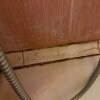 https://cdn-ostrovok-ru-ion.test.edgekey.net/t/100x100/hotel_review/d3/d1/d3d1eca36cbd2285f7782ce30373a7fe2a2eec37.JPEG