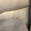 https://cdn-ostrovok-ru-ion.test.edgekey.net/t/100x100/hotel_review/d3/f7/d3f7beb364505d2e680831369ebac8b23b6a9a24.JPEG