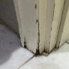 https://cdn-ostrovok-ru-ion.test.edgekey.net/t/100x100/hotel_review/d4/0b/d40b27e8fcddd9336da29b3cdb41469f136e18ec.JPEG