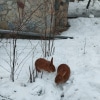 https://cdn-ostrovok-ru-ion.test.edgekey.net/t/100x100/hotel_review/d4/56/d456206d9695c059601ea1b56823354dfedf0a0a.JPEG