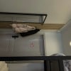 https://cdn-ostrovok-ru-ion.test.edgekey.net/t/100x100/hotel_review/d4/c5/d4c5d69eb8de96e2905a1cfc2392360e21db7a02.PNG