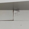 https://cdn-ostrovok-ru-ion.test.edgekey.net/t/100x100/hotel_review/d4/d3/d4d3ea3fc7fe4ba349b9933d0d0cf2e81a26d0d6.JPEG