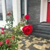 https://cdn-ostrovok-ru-ion.test.edgekey.net/t/100x100/hotel_review/d5/74/d57410d5d916ea93675bba90d7e8b3fd22699b4b.JPEG