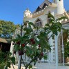https://cdn-ostrovok-ru-ion.test.edgekey.net/t/100x100/hotel_review/d5/79/d579b17aa5329f634ac6e621e20eefcf24bed20a.JPEG