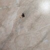 https://cdn-ostrovok-ru-ion.test.edgekey.net/t/100x100/hotel_review/d5/7c/d57ca191e6952d4a6ae6d2ac47e5f2e0aaca2808.JPEG
