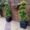 https://cdn-ostrovok-ru-ion.test.edgekey.net/t/100x100/hotel_review/d5/c9/d5c95765b800ae6b815fa3385eee49793cbc2116.jpeg