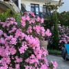 https://cdn-ostrovok-ru-ion.test.edgekey.net/t/100x100/hotel_review/d5/cd/d5cd8fd072568c54c39b1cfbdcdf50360a970446.JPEG