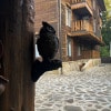 https://cdn-ostrovok-ru-ion.test.edgekey.net/t/100x100/hotel_review/d6/1e/d61ea124a1a0ac52b2573ad8ebb32f28f30f9022.jpeg
