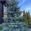https://cdn-ostrovok-ru-ion.test.edgekey.net/t/100x100/hotel_review/d6/49/d649c707a33bac78506344a2338cec3823e6e707.jpeg