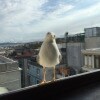https://cdn-ostrovok-ru-ion.test.edgekey.net/t/100x100/hotel_review/d6/72/d672bfd2799abc003b83766b1e6db1e85288ac41.jpeg
