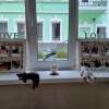https://cdn-ostrovok-ru-ion.test.edgekey.net/t/100x100/hotel_review/d6/8c/d68cbf90bd30182ea764fe5b2377333102dea7e0.JPEG